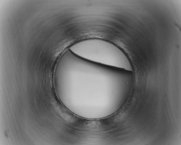 X0000099960398200805231031