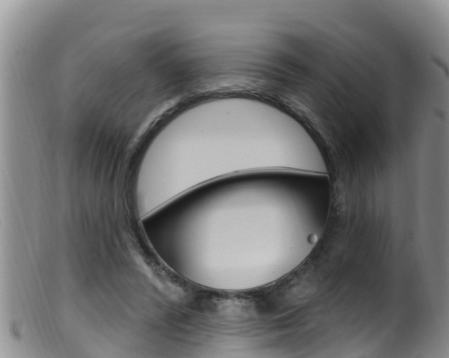 X0000099960400200805231031