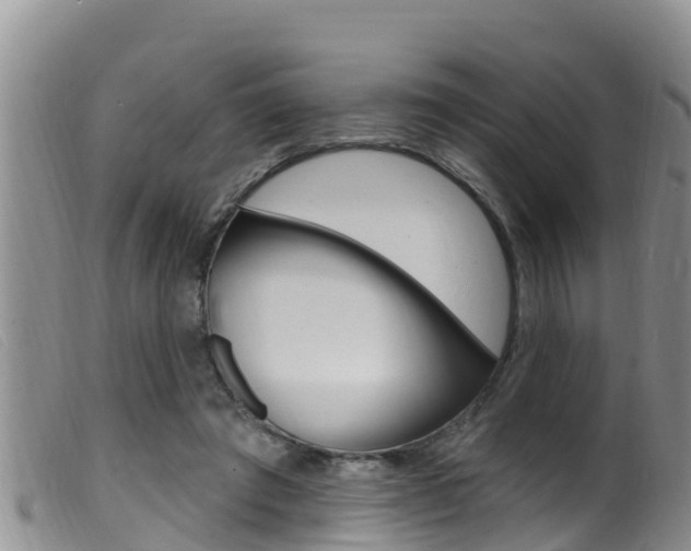 X0000099960401200805231031
