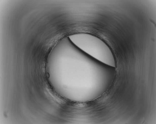 X0000099960402200805231031