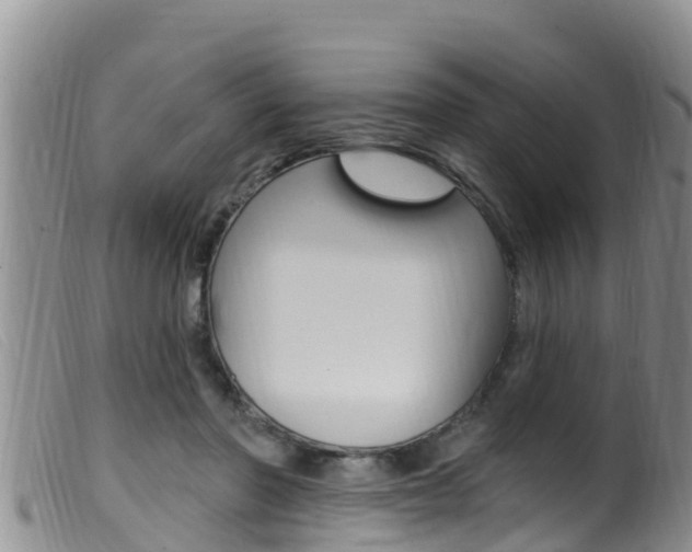 X0000099960406200805231031