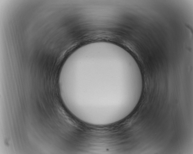 X0000099960407200805231031