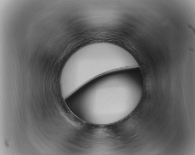 X0000099960408200805231031