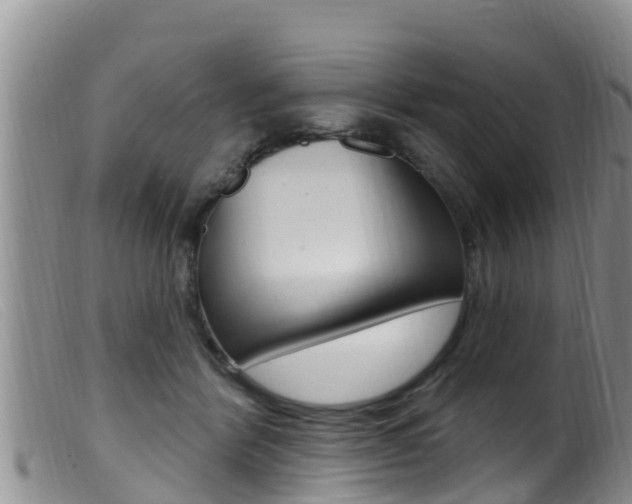 X0000099960412200805231031