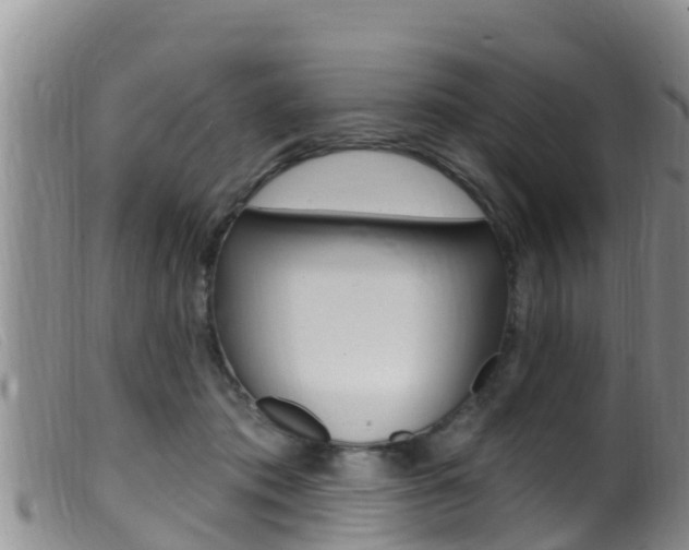 X0000099960413200805231031