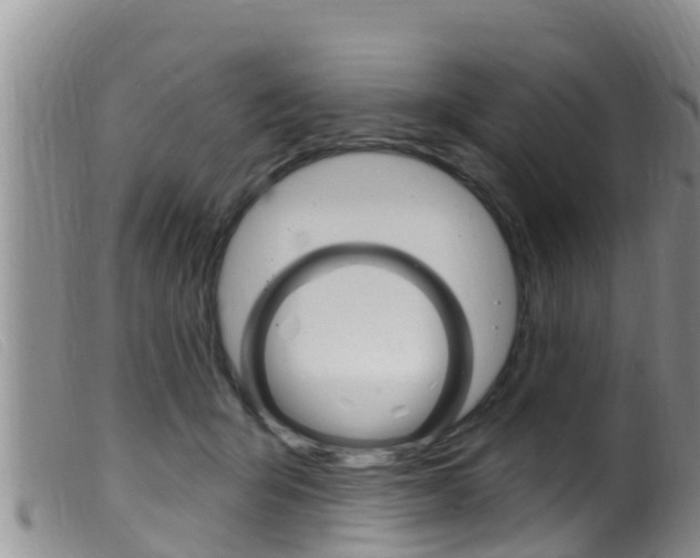 X0000099960415200805231031