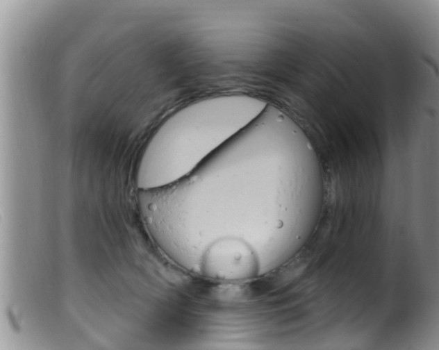 X0000099960418200805231031