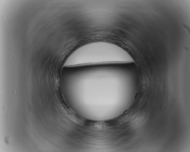 X0000099960420200805231031