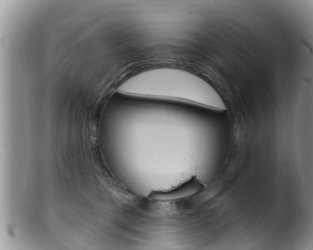 X0000099960421200805231031