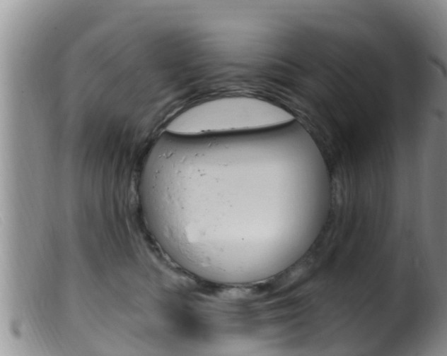 X0000099960422200805231031