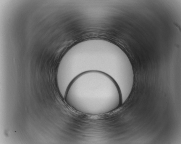 X0000099960423200805231031