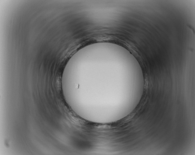 X0000099960426200805231031