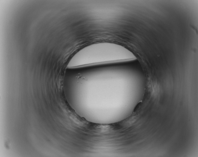 X0000099960428200805231031