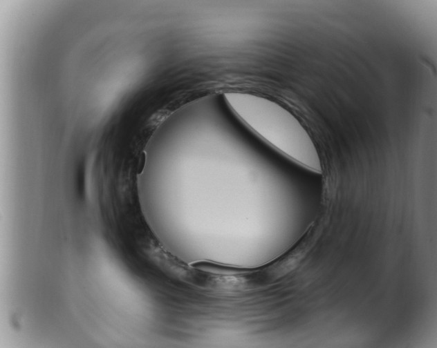 X0000099960429200805231031