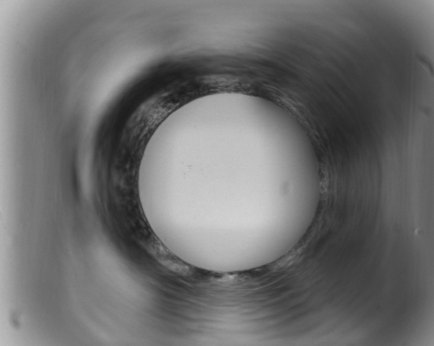 X0000099960430200805231031