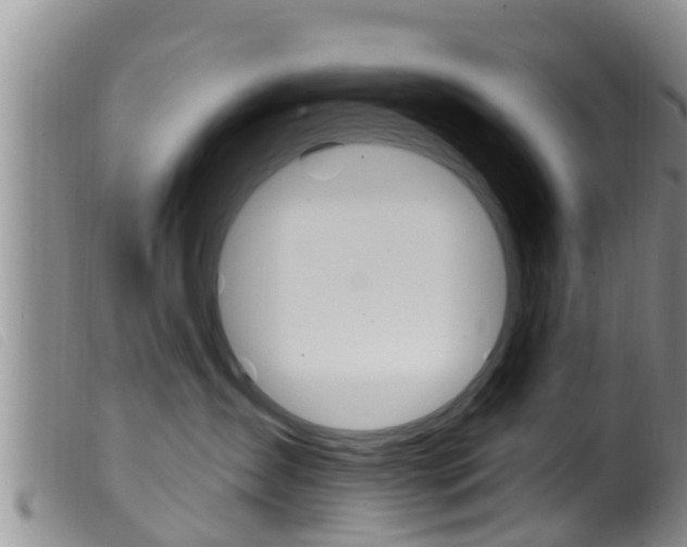 X0000099960431200805231031