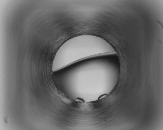 X0000099960432200805231031