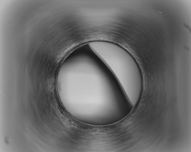 X0000099960434200805231030