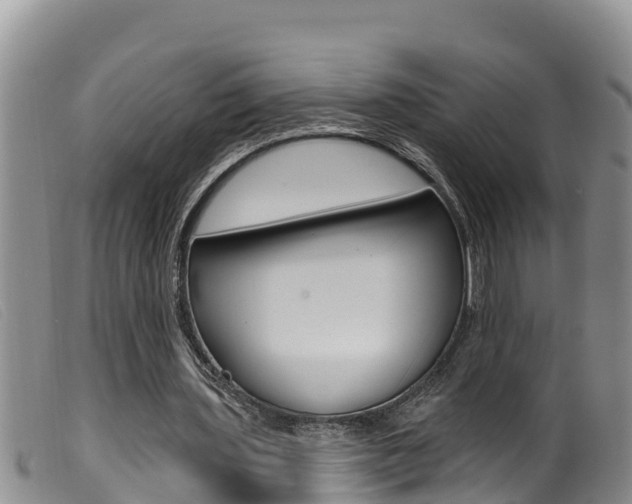 X0000099960435200805231030