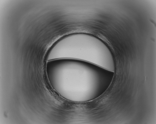 X0000099960436200805231030