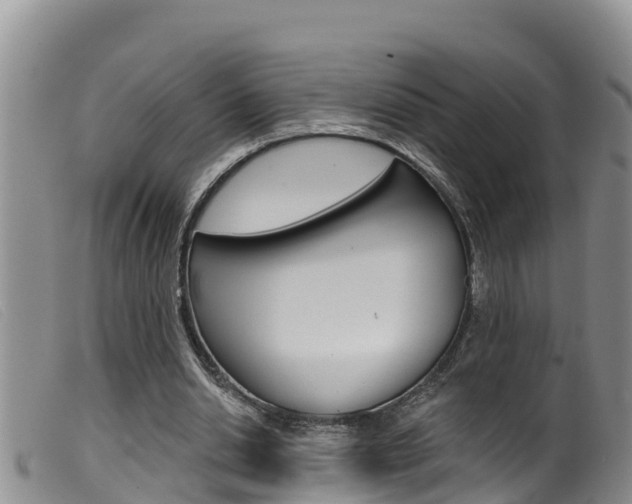 X0000099960438200805231030