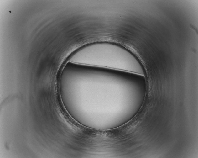 X0000099960439200805231030