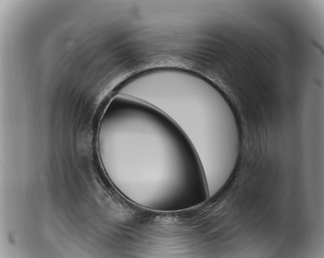 X0000099960440200805231030