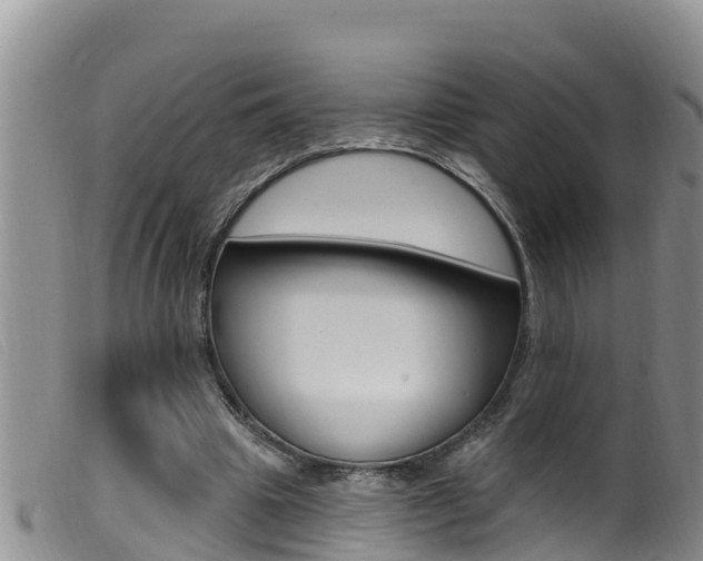 X0000099960441200805231030