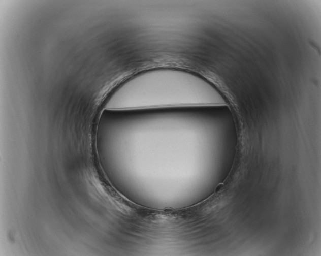 X0000099960442200805231030
