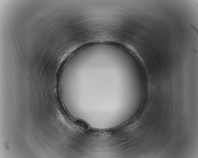 X0000099960443200805231030