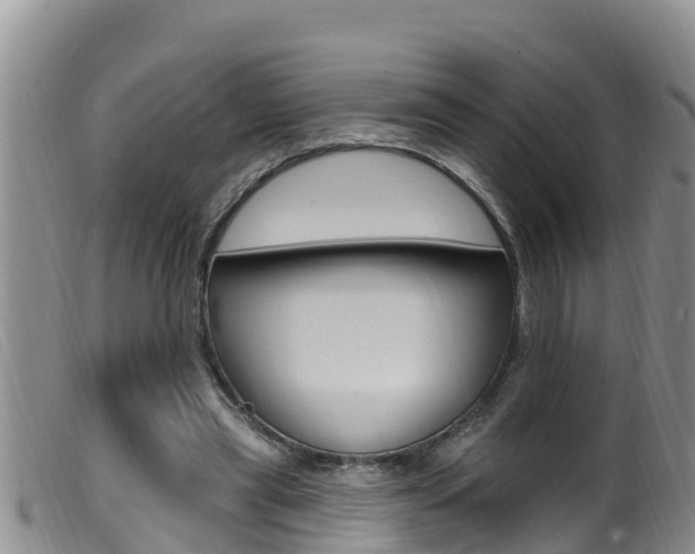 X0000099960445200805231031