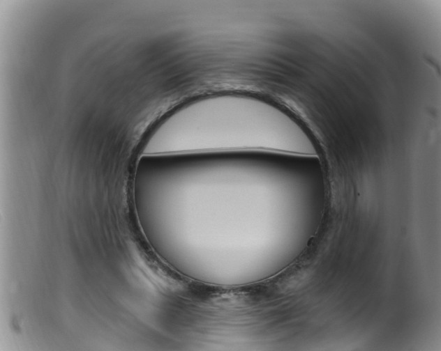 X0000099960447200805231031