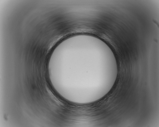 X0000099960448200805231031