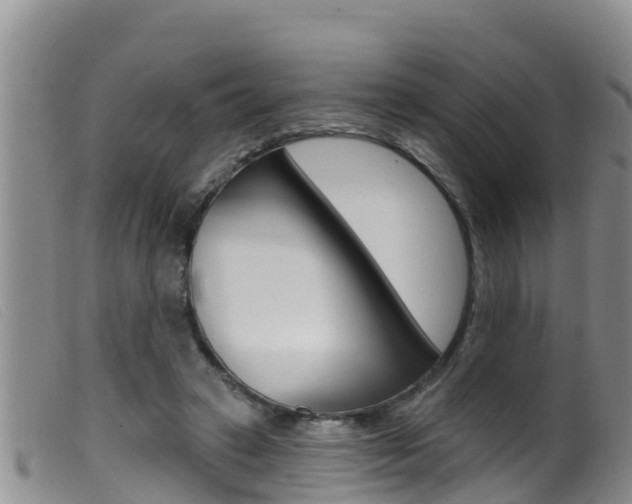 X0000099960449200805231031