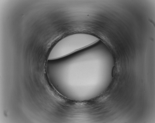 X0000099960450200805231031