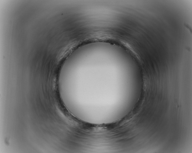X0000099960451200805231031