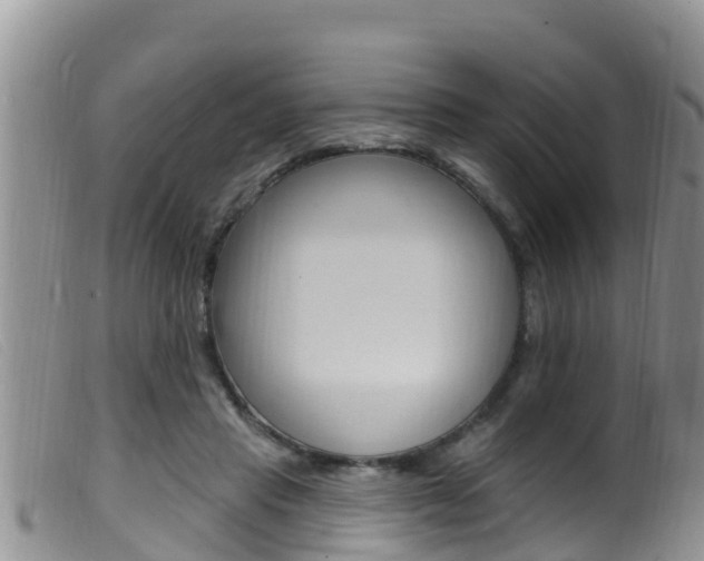X0000099960453200805231031