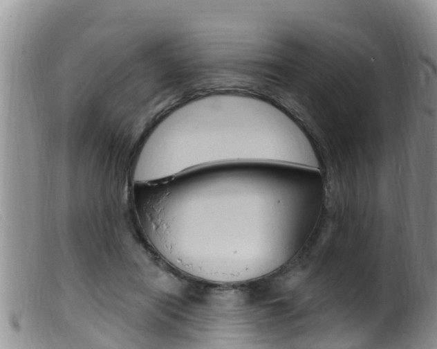 X0000099960454200805231031