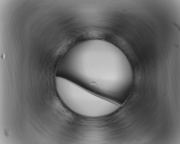 X0000099960457200805231031
