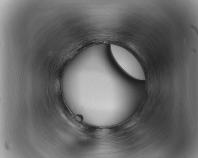 X0000099960459200805231031