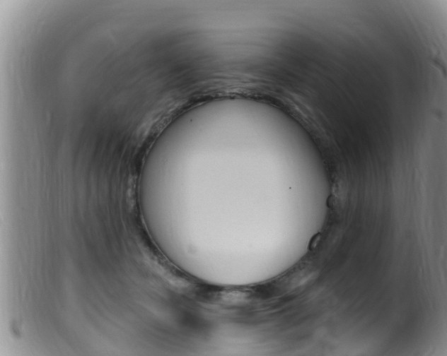 X0000099960462200805231031