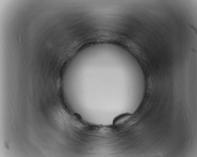 X0000099960463200805231031