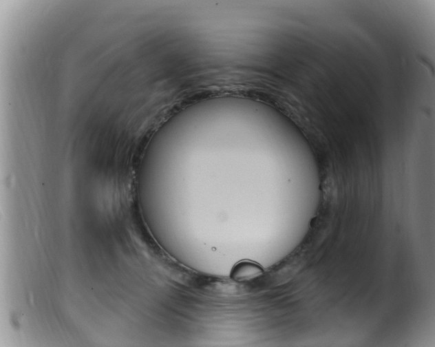 X0000099960464200805231031