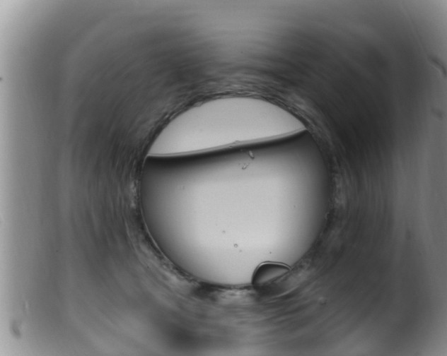 X0000099960465200805231031