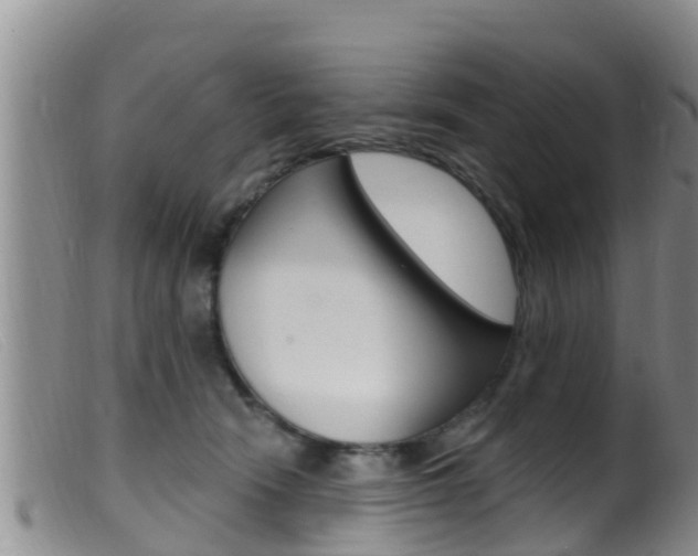 X0000099960466200805231031