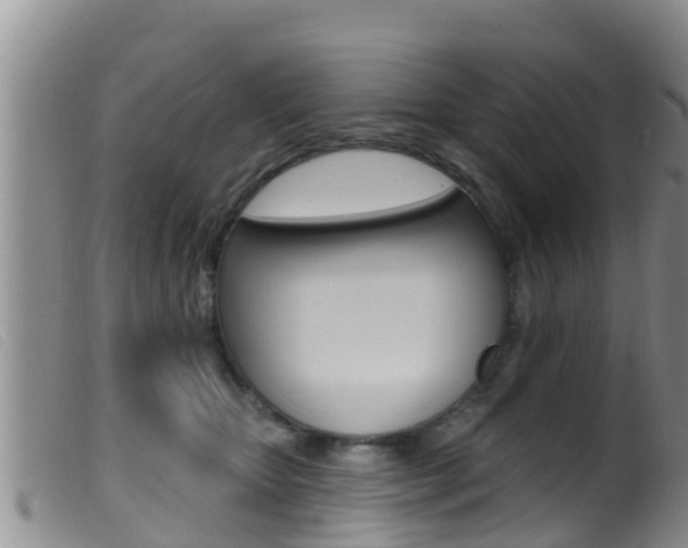 X0000099960467200805231031