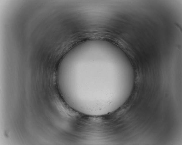 X0000099960469200805231031