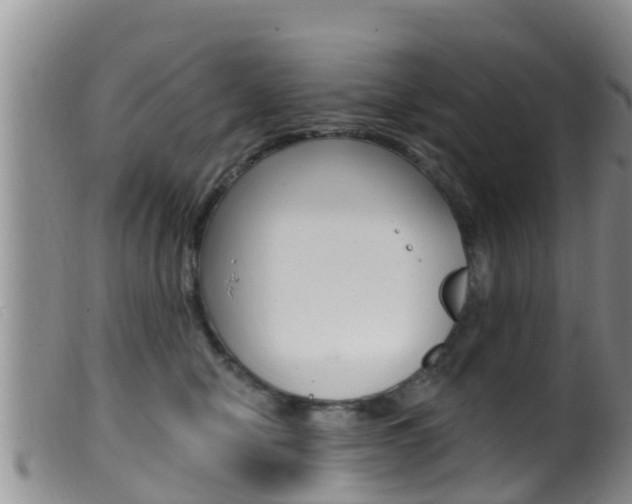 X0000099960470200805231031