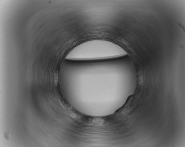 X0000099960471200805231031