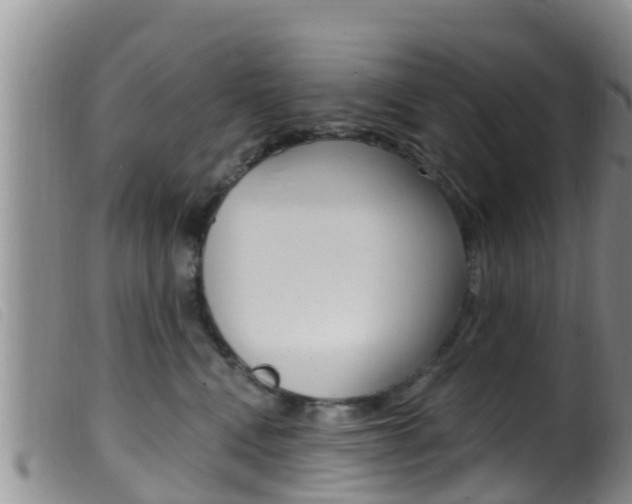 X0000099960472200805231031